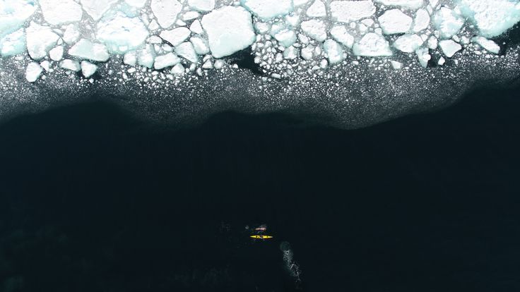 Lewis Pugh risks his life swimming in the sub- zero waters to raise awareness of environmental issues