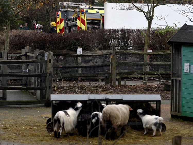 Firefighters stand near an animal enclosure at London Zoo following a fire which broke out at a shop and cafe