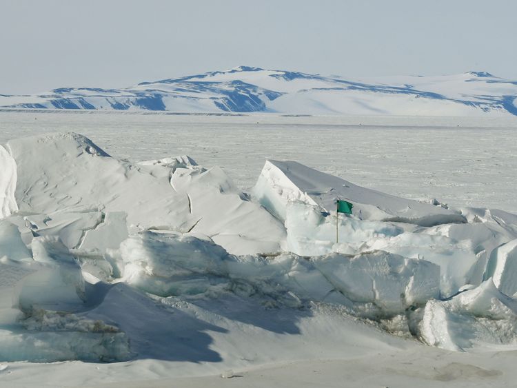 World's Largest Marine Reserve Created In Antarctica