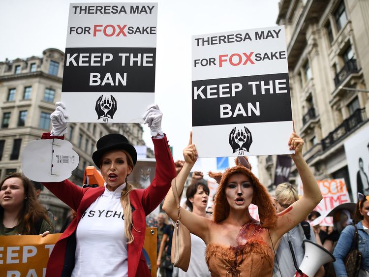 Mrs May&#39;s support for fox hunting prompted protests