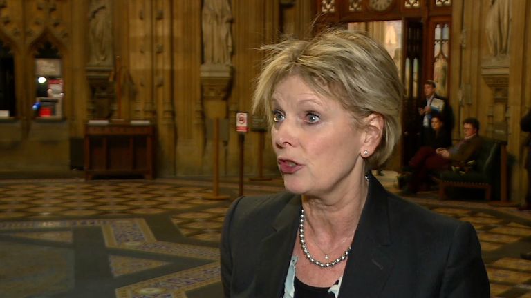 Conservative MP Anna Soubry voted against the government