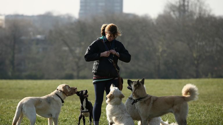 Dog walkers, buskers, rough sleepers and groups are being unfairly fined