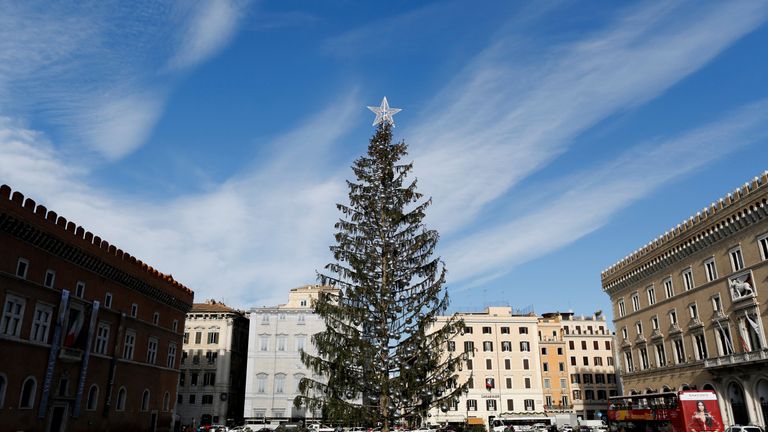 The Christmas tree in downtown Rome