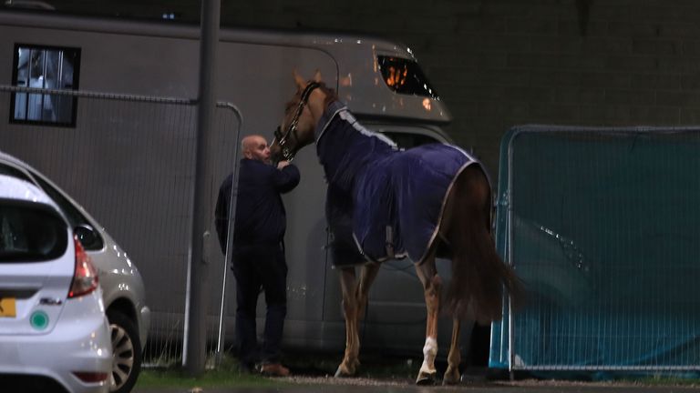 Horses inside the car park at the time have been escorted to safety