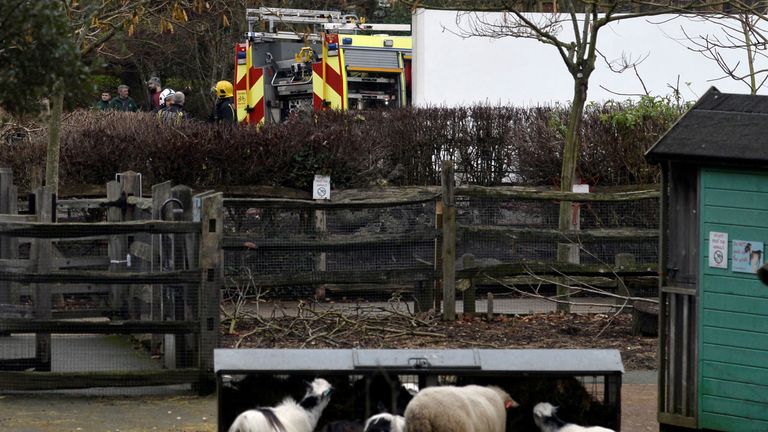 Firefighters stand near an animal enclosure at London Zoo following a fire which broke out at a shop and cafe