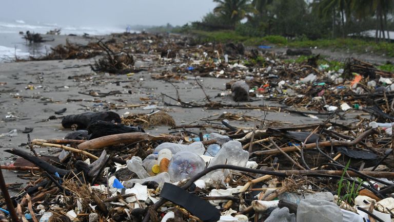 Environment ministers pledged to go towards a 'pollution-free planet'