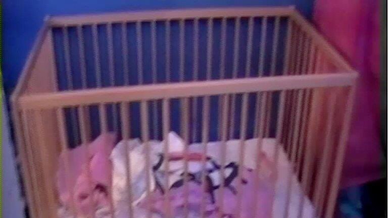 The coroner released a picture of Poppi&#39;s cot