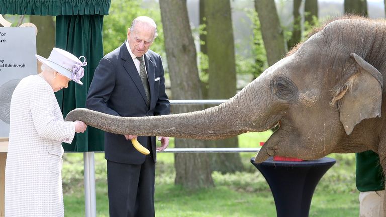 A cheeky elephant stole a banana from the Queen at ZSL Whipsnade Zoo in April