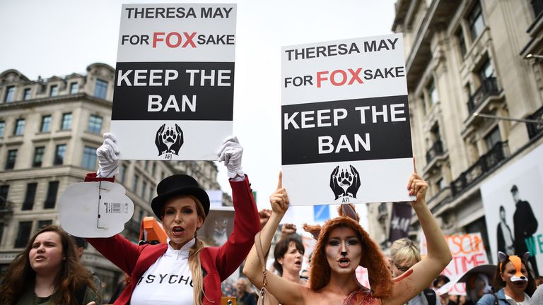 Mrs May&#39;s support for fox hunting prompted protests