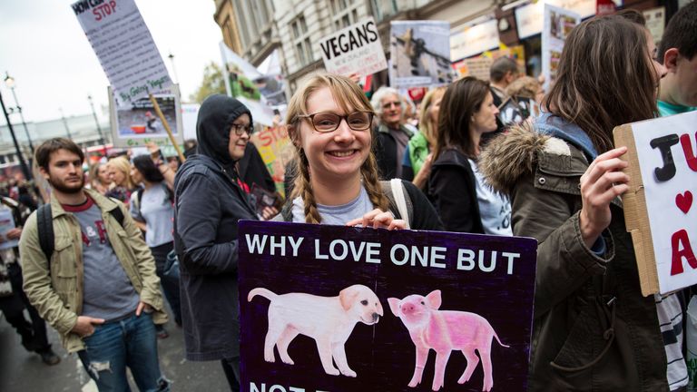A protester carries a placard during an animal rights march outside McDonald&#39;s restaurant on Whitehall on October 29, 2016 in London, England. Hundreds of protesters and activists march through central London today calling for greater animal rights and encouraging people to go vegan. (Photo by Jack Taylor/Getty Images)
Editorial subscription
SML
4200 x 2800 px | 35.56 x 23.71 cm @ 300 dpi | 11.8 MP

Size Guide
Add notes
SUBSCRIPTION DOWNLOAD
Details
Restrictions:	Contact your local office for al
