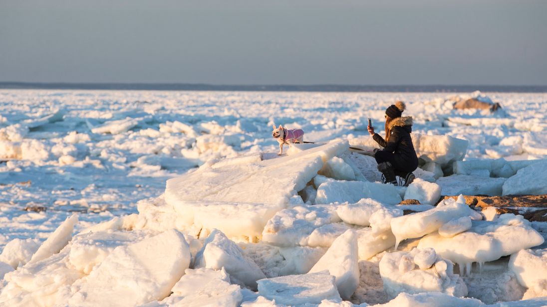 Woman photographs dog in Orleans, Massachusetts, ahead of snow storm