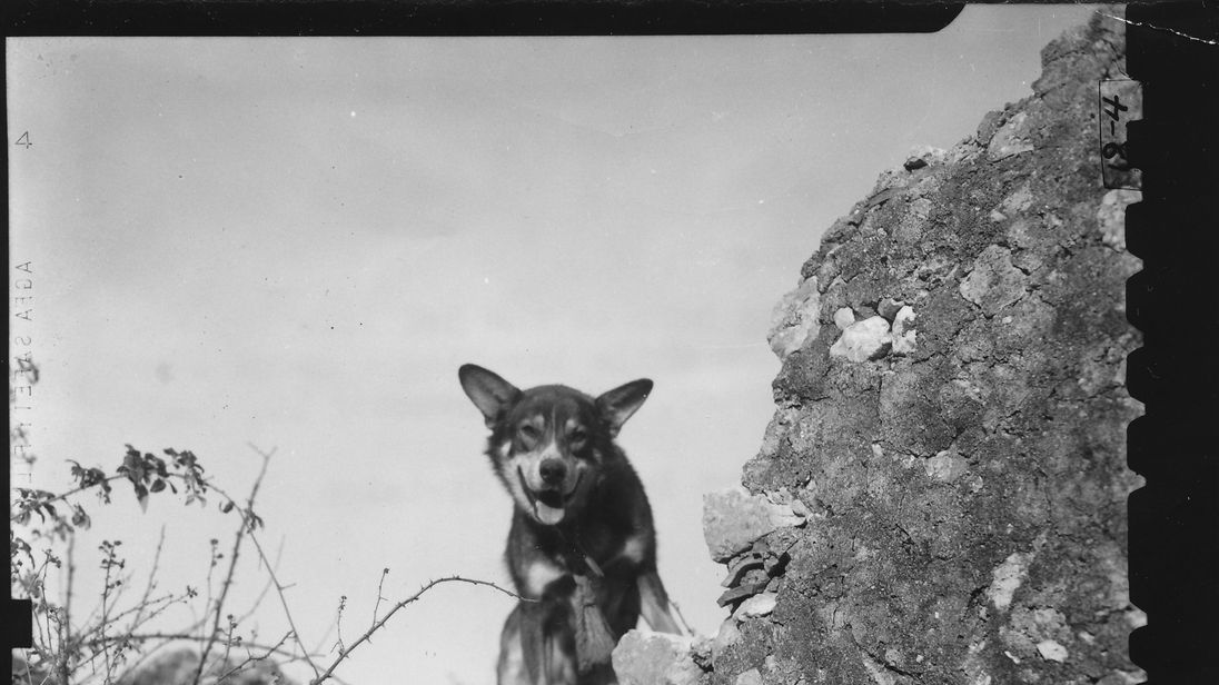 2371801150085463807_4206415.jpg?bypass-service-worker&20180115161827