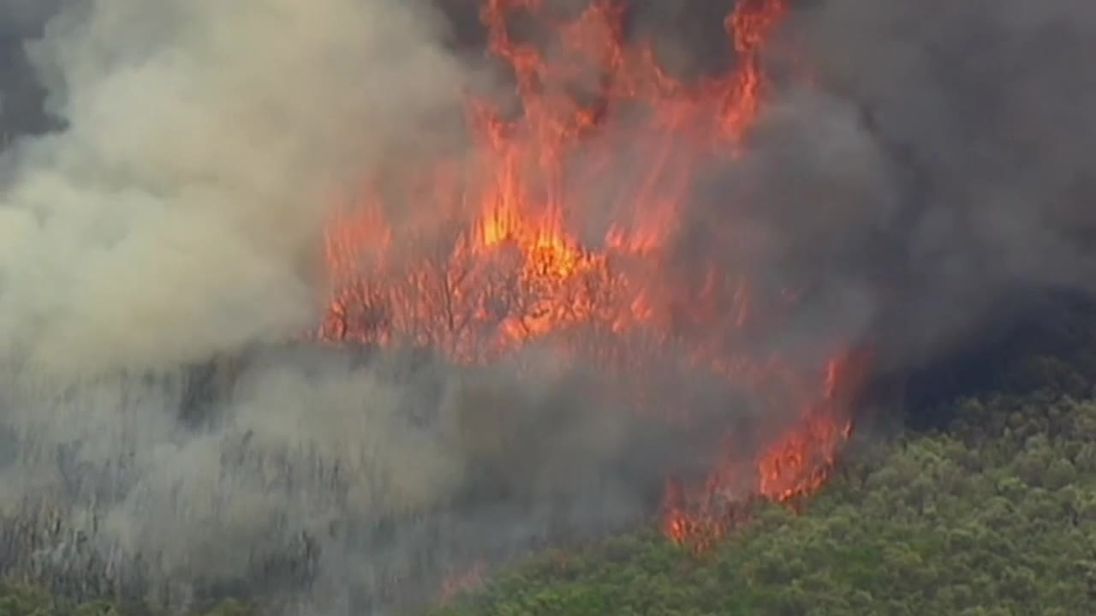 Australia bushfires: 1,000 flee Royal National Park in Sydney