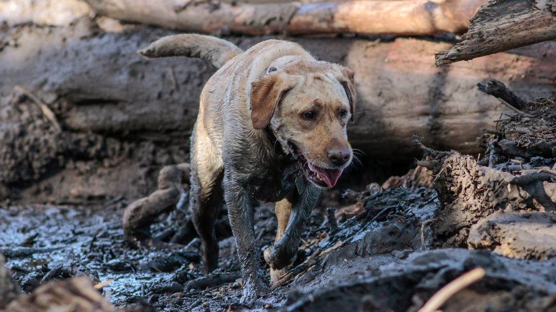 Storms Lead To Mudslides In Southern California Areas Affected By Wildfires