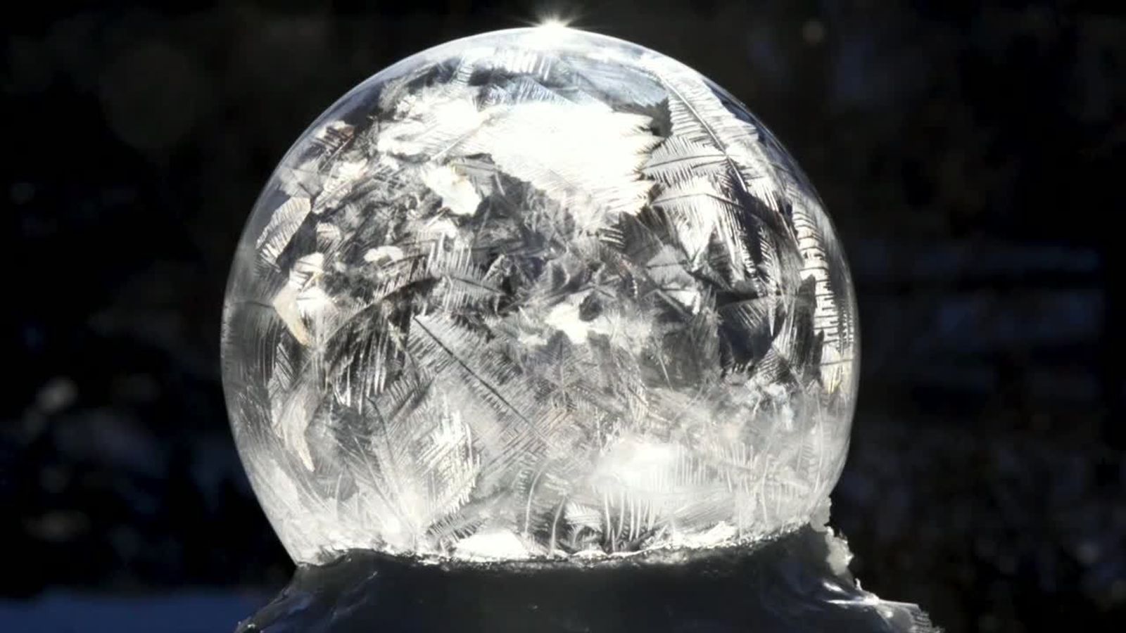US big freeze Bubbles reveal 'natural snow globe' News UK Video News