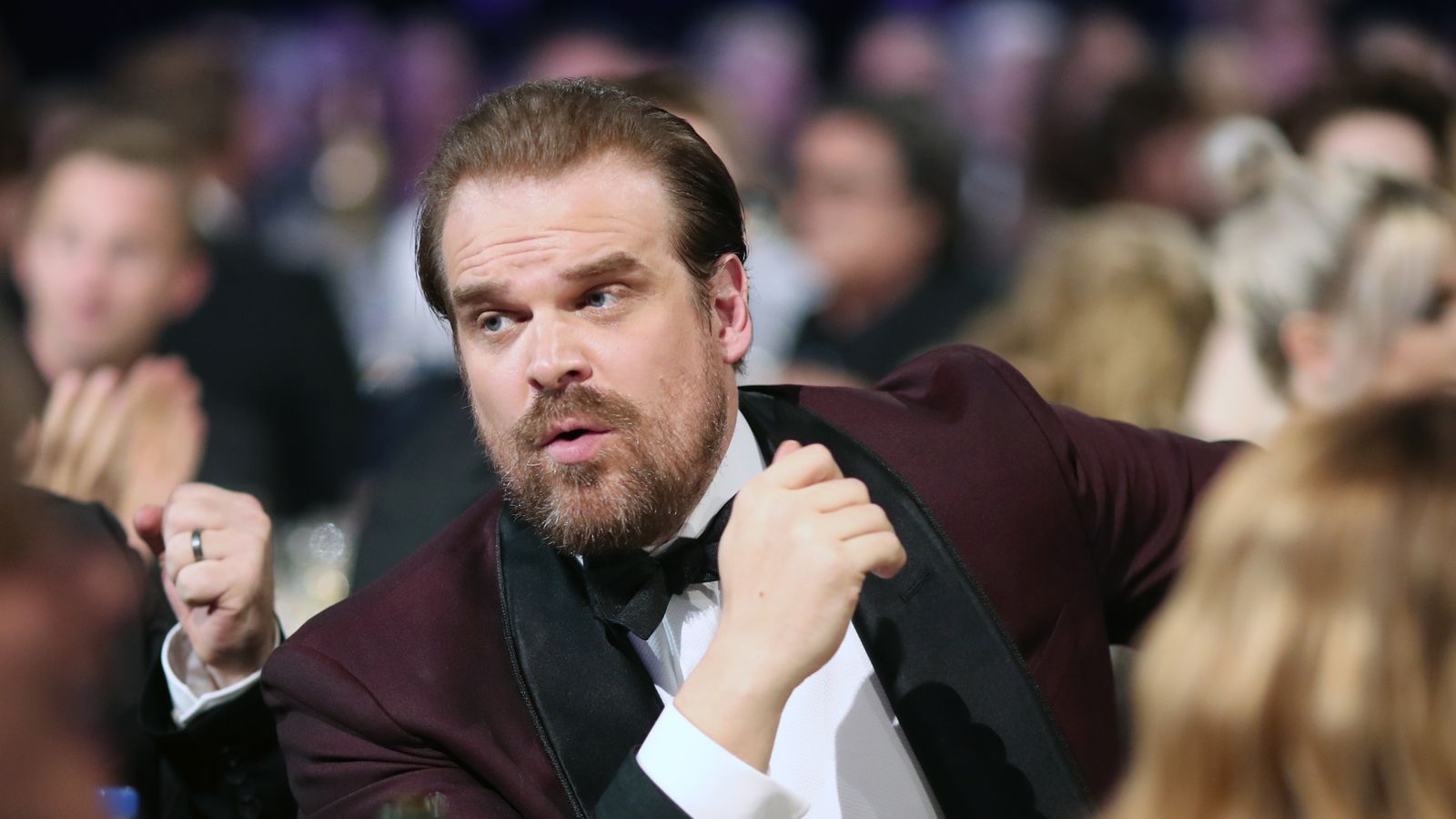 Stranger Things actor David Harbour to officiate fan wedding after(01)