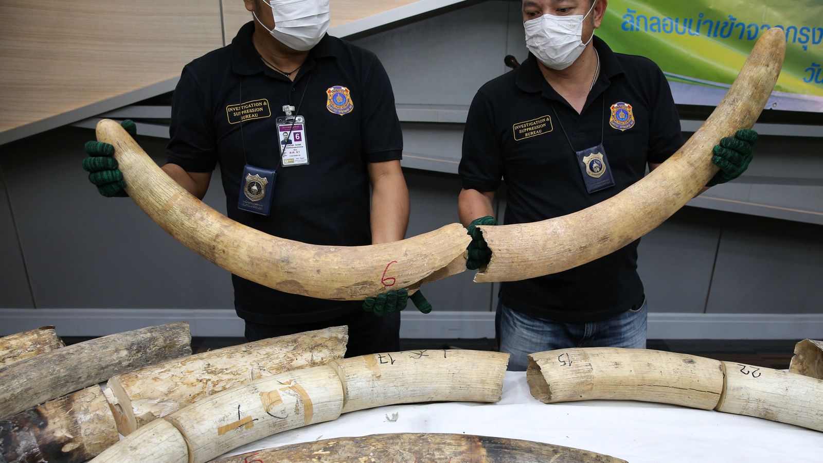 Giant elephant tusks from Africa seized at Bangkok airport | World News