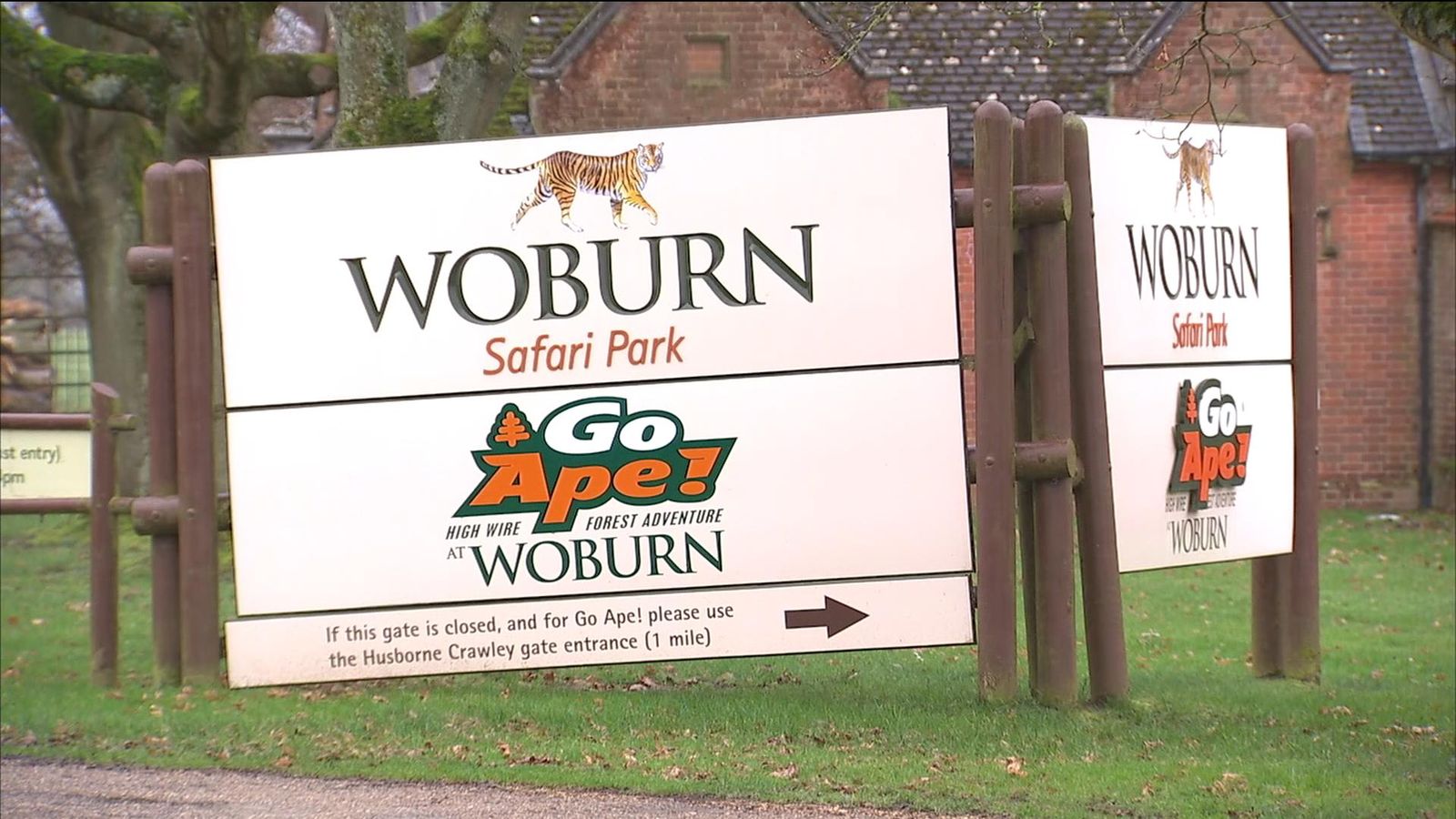 Thirteen monkeys die in fire at Woburn Safari Park | UK News | Sky News