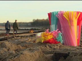 Plastic straws could be taxed in Scotland to reduce ocean pollution