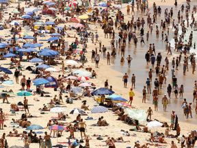 Sun-worshippers basking on Sydney&#39;s Bondi Beach