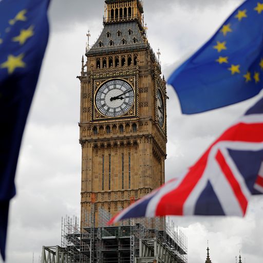 Is the PM's 'third way' an answer to the 'mad Brexit riddle'?