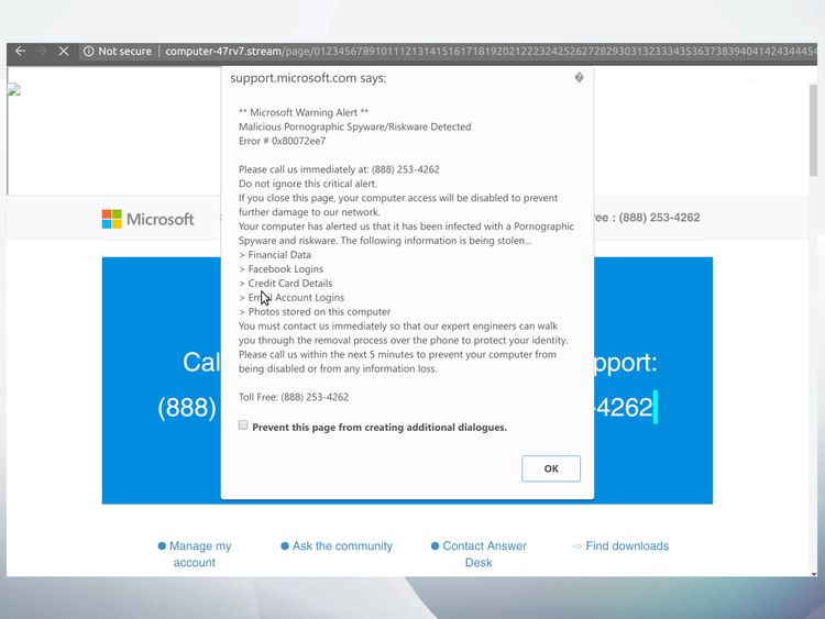 A fake security support pop-up. Pic: Confiant