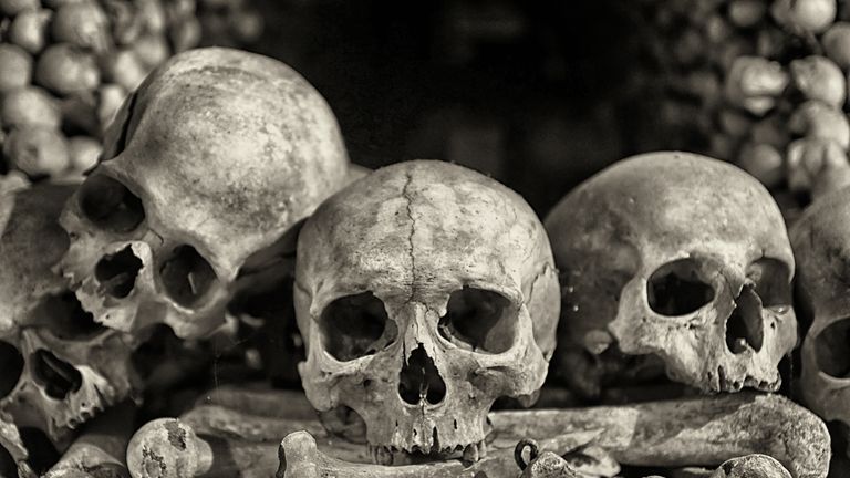 The Black Death devastated medieval Europe, killing an estimated 75 to 200 million people