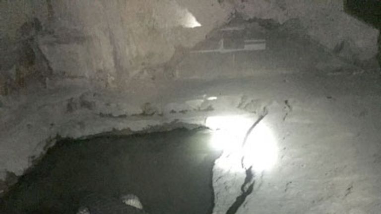 Police in St Petersburg found the crocodile in a basement. Pic: Russian Ministry of Internal Affairs