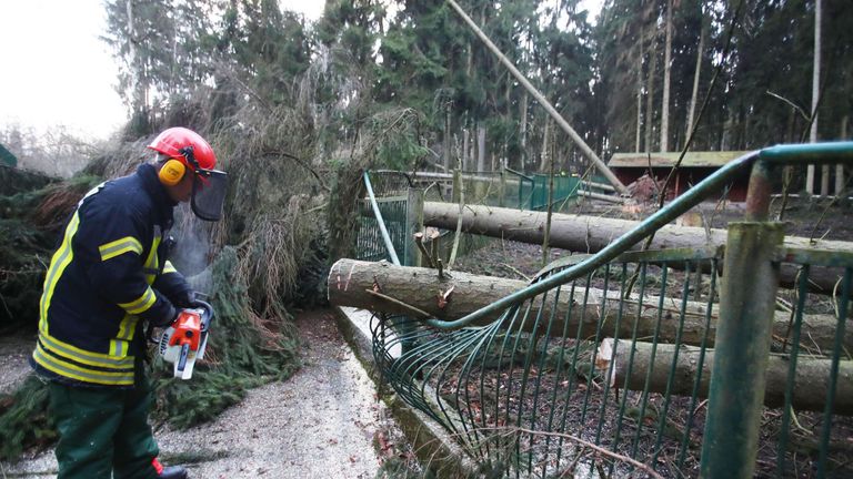 A firefighter cuts a fallen tree at the zoological garden of Gera in eastern Germany