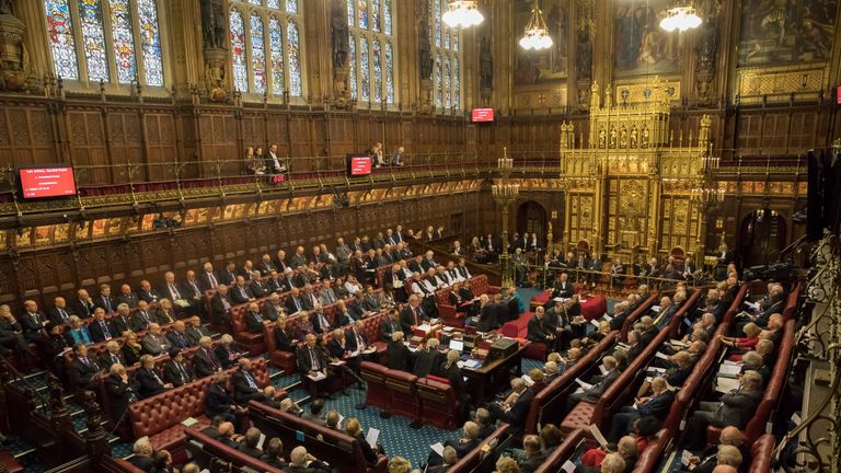 Record Number Of Speakers For Lords Eu Bill Debate Politics News Sky News