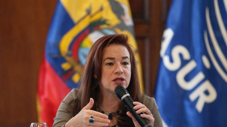 Ecuador&#39;s foreign minister made the announcement in Quito