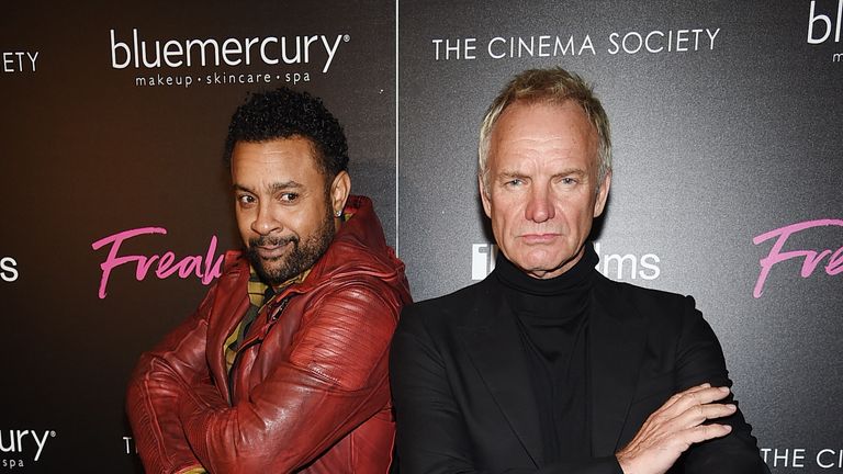 Shaggy and Sting 