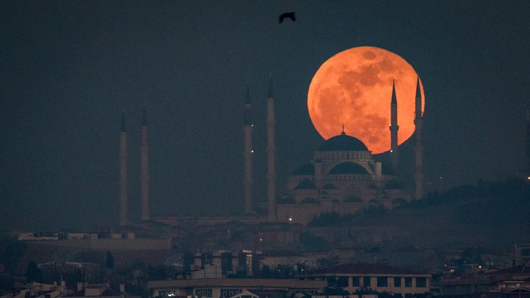 Super Blue Blood Moon dazzles the globe | World News | Sky News