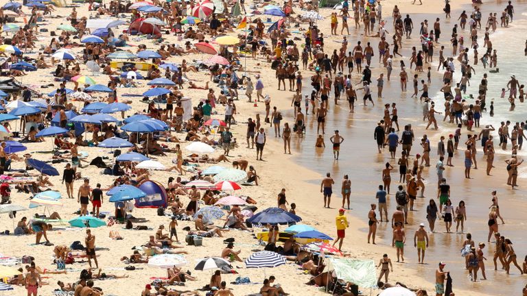Sun-worshippers basking on Sydney&#39;s Bondi Beach