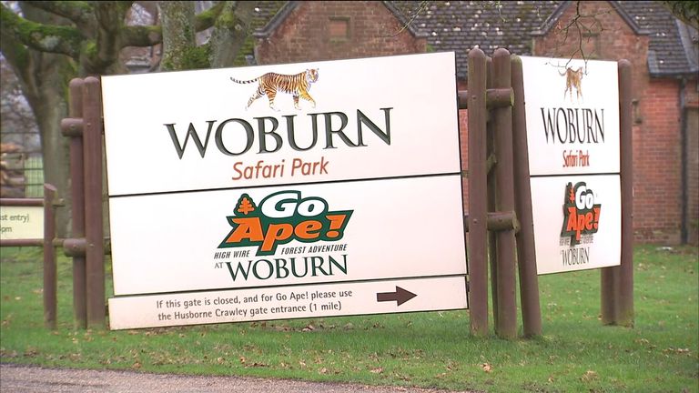 Woburn Safari Park, where a fire killed 13 monkeys