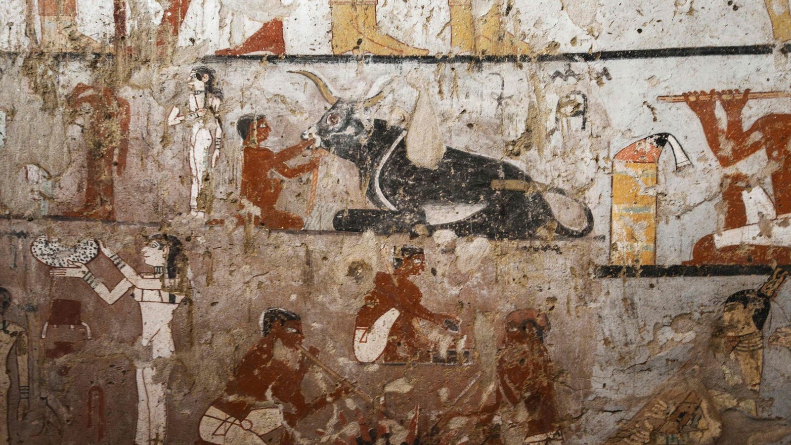 4,400yearold tomb of Egyptian priestess found World News Sky News