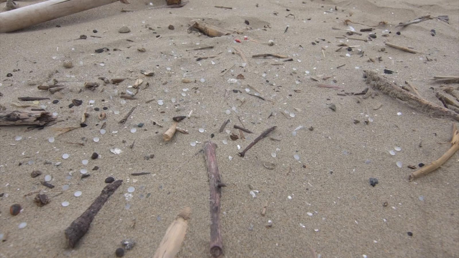 South Africa's ecological 'nightmare' after plastic pellets spill Climate News Sky News