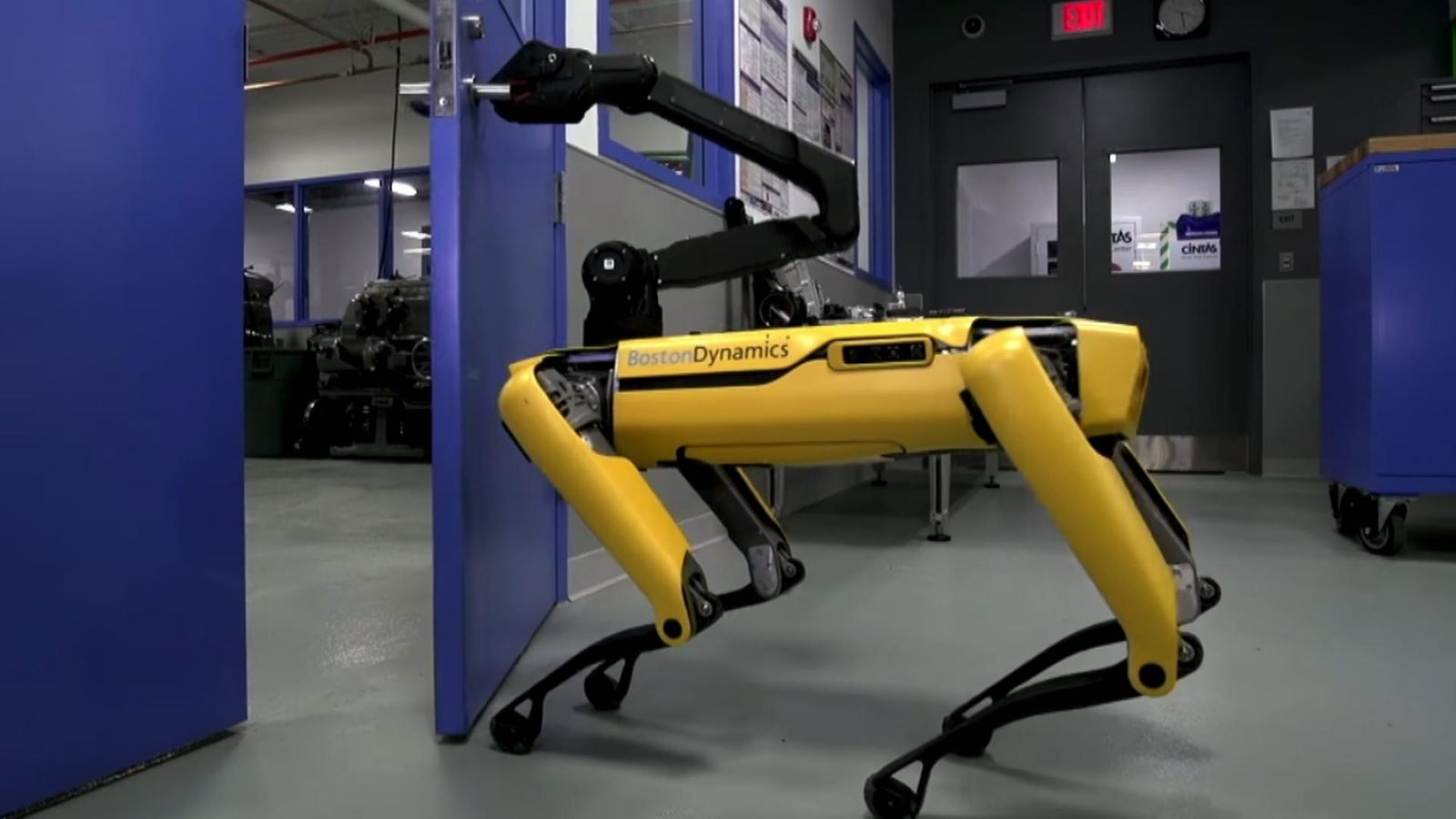robot dog new