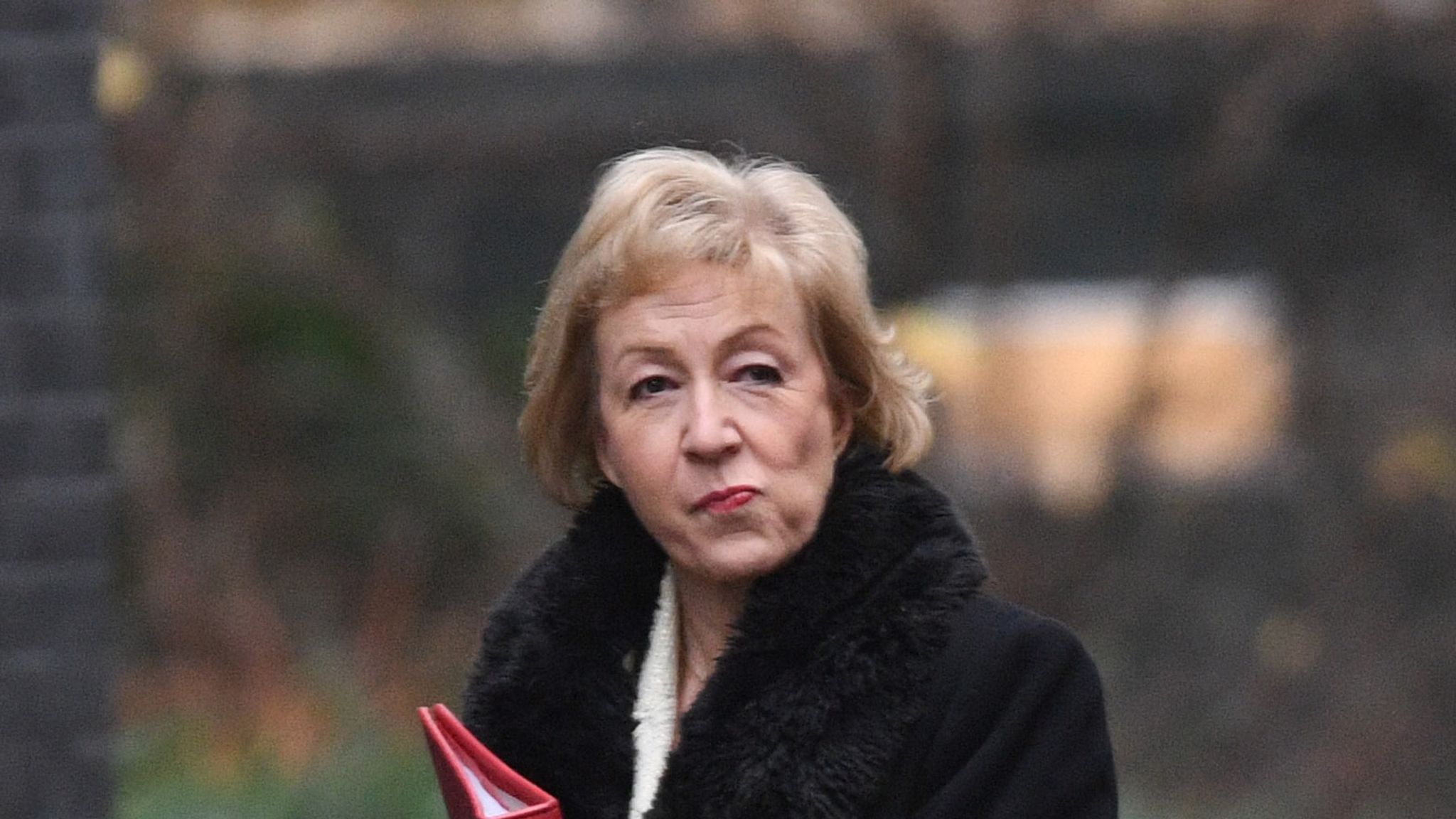 MPs Claim John Bercow Called Cabinet Minister Andrea Leadsom A Stupid   Skynews Andrea Leadsom Mp Andrea Leadsom 4226061 