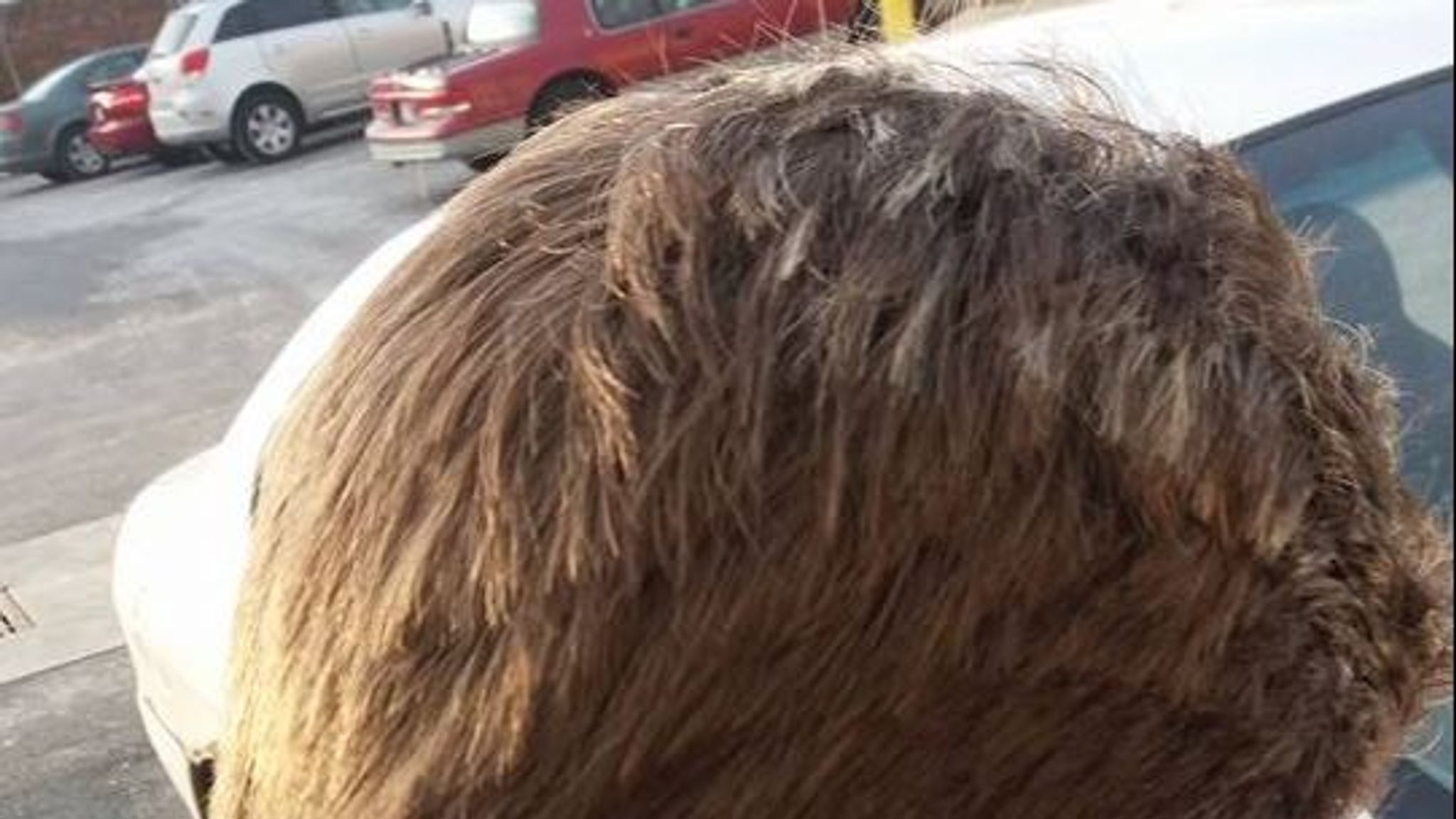 Dad chops off daughter's hair after mother treats her to highlights for