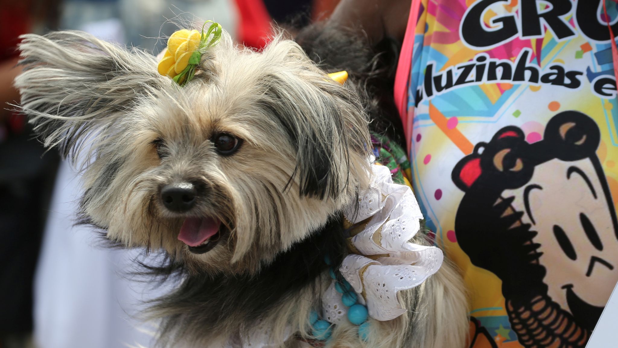 Rio Carnival: Street parties in full swing | World News | Sky News