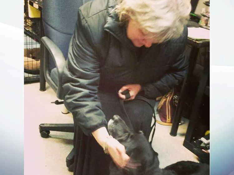 Abby and her owner Debra reunite after 10 years