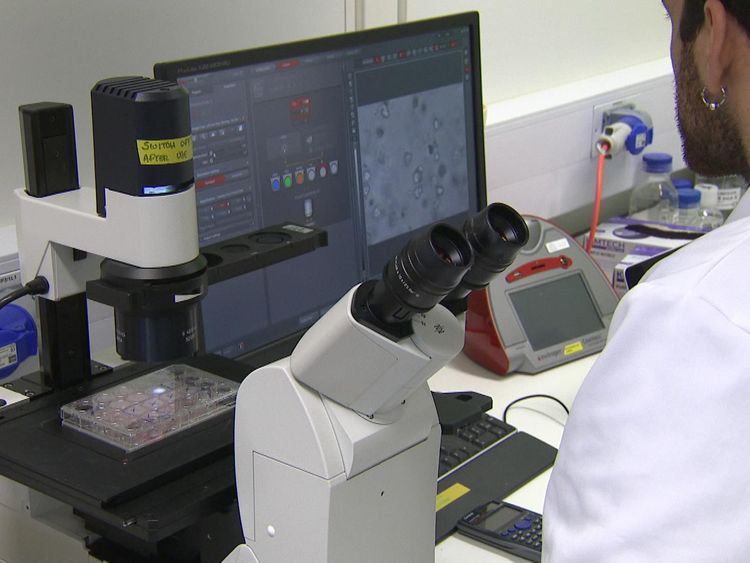 Scientists tested the mini tumours in a lab - and tested them against dozens of drugs to find the best possible treatment