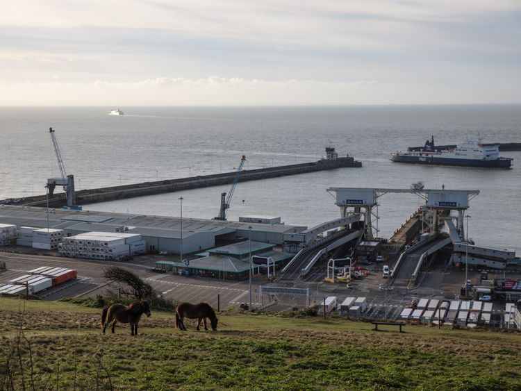 DOVER, ENGLAND - MARCH 21: A ferry arrives at the Port of Dover's Eastern Docks as Exmoor Ponies graze on the White of Cliffs of Dover on March 21, 2017 in Dover, England. The Port of Dover is Europe's busiest passenger port and the UK's closest to continental Europe. British Prime Minister Theresa May will trigger Article 50 on March 29 and so begin the formal process of leaving the European Union. (Photo by Jack Taylor/Getty Images)