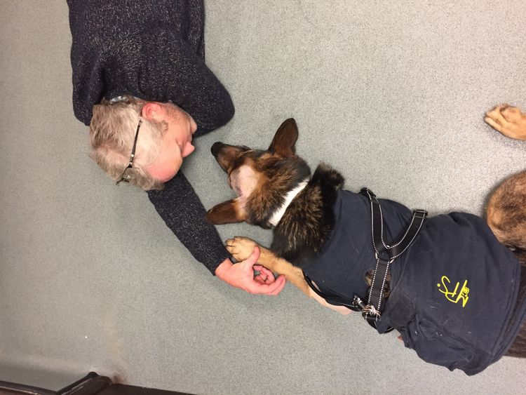 PC Dave Wardell and his police dog, Finn, were chasing a robbery suspect in 2016 when they were attacked with a knife. - GIVEN BY PR