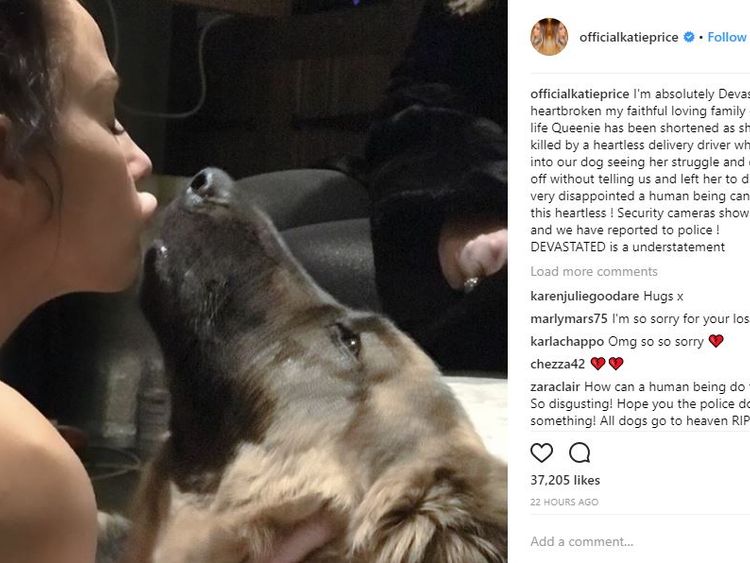 Katie Price said her dog was killed in a hit-and-run. Pic: @officialkatieprice/Instagram