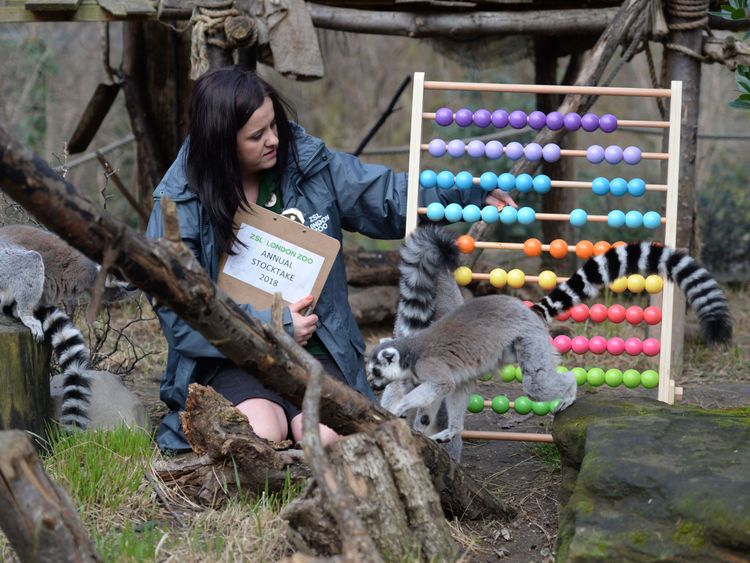 The keepers will use equipment ranging from abacus to cameras