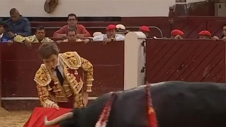 Spanish matador Julian Lopez was gored during a bullfight in Bogota, Colombia 
