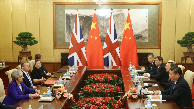 Chinese President Xi Jinping meets with Theresa May at the Diaoyutai State Guesthouse in Beijing