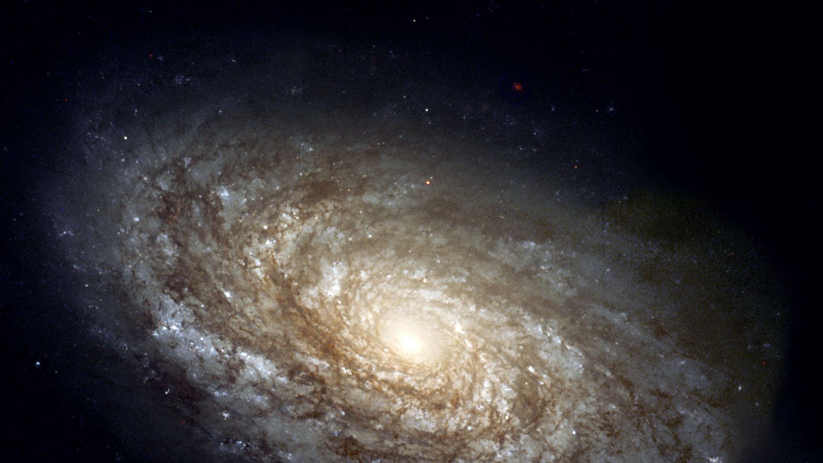 Say space. Галактика NGC 4414. Спиральная Галактика NGC 4414.